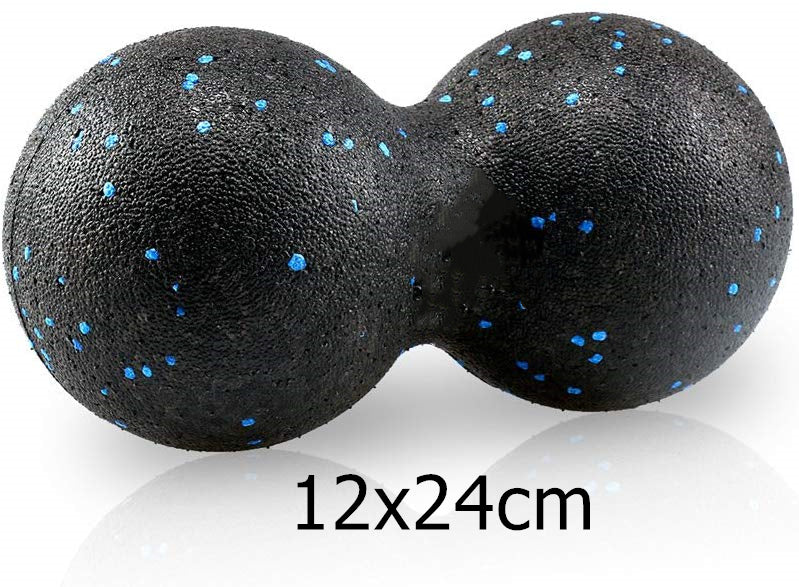 S1005005109254046_13.jpg