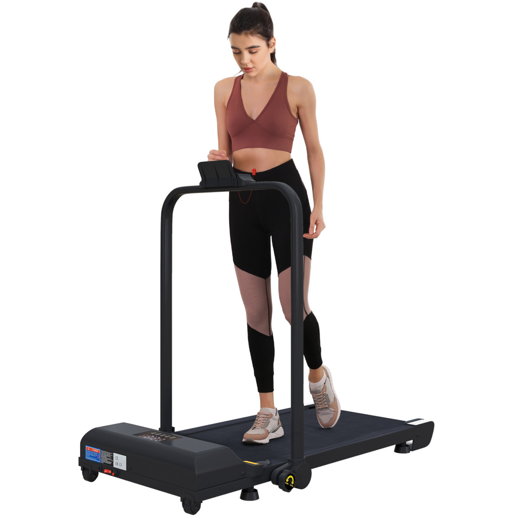 HOMCOM 2.5HP Folding Treadmill Walking Pad, Remote, 1–10KM/H, Black